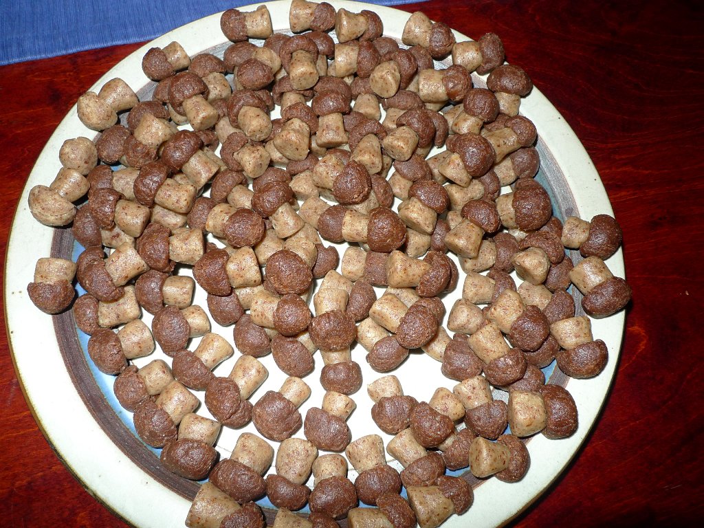 Christmas2010 011.JPG